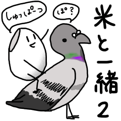 米と一緒2