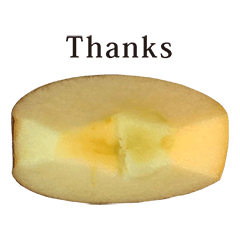 りんご カットA と 英語 English