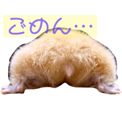 キンクマロングのベルたん