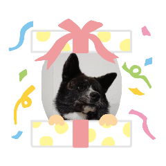秋田犬の日常スタンプAkitainu daily life