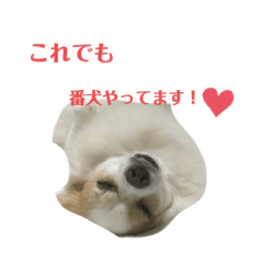 かわいいランマナスタンプ！