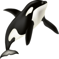 いろいろな海洋哺乳類