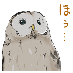 ふわふわフクロウ
