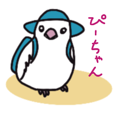 文鳥のぴ-ちゃん