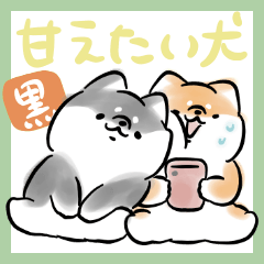 甘えたい犬<黒柴>