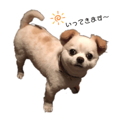 はい！　ちーたん