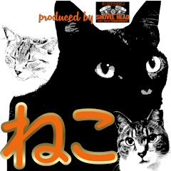 便利！猫たちの会話【船橋のショベル】