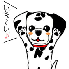 動く！ダルメシアンの日常
