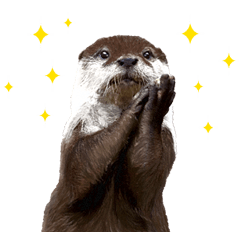 使える！カワウソ