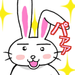 動く!！キリっと・うさぎ