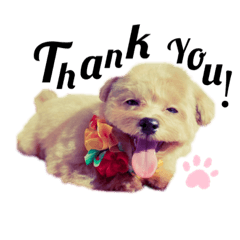 ミルしゃん可愛い