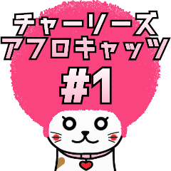 チャーリーズアフロキャッツ #1 次女猫♥