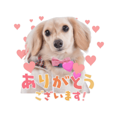 ミル 日常スタンプ