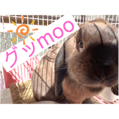 アルᕱ⑅ᕱ♥ロップイヤー2