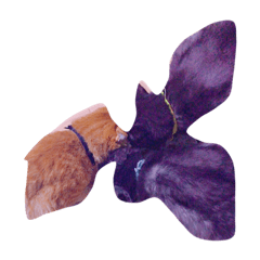 猫の可愛いすたんぷ