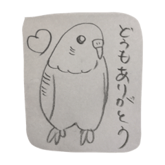 インコ大好きクラブ