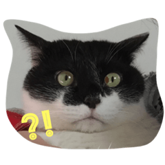 デニーロ徒然 第2弾