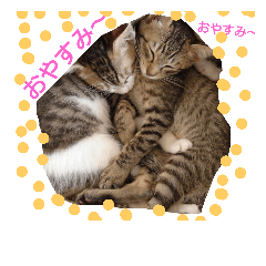 いつもありがとう元気良すぎなちびっこ