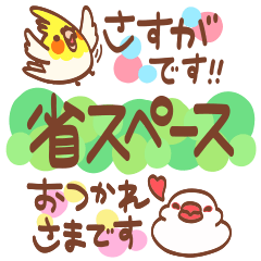 にぎやかインコ達のころんと敬語