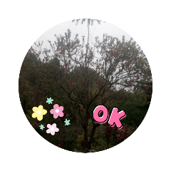 shelly_20210920122400