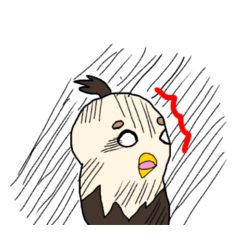 わっしー【鷲】