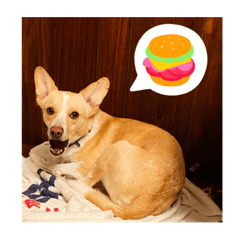 フウ太なスタンプ