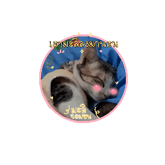 TOMOKO_20211217164500