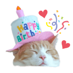 テテ&くぅのにゃんこスタンプ　【1】