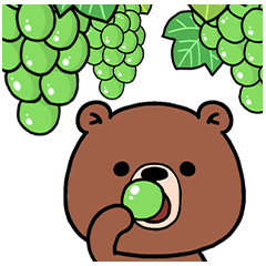 普通のクマ 2022年（秋）