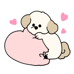 私のわんちゃん よく使う マルプー