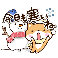 まめシバ【冬】