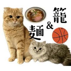 麺籠ねこずスタンプ第一弾