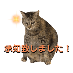 できるだけ敬語です