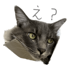 シュガーくんのスタンプ