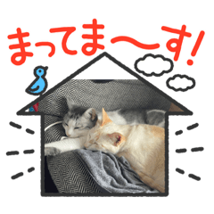 あいさつをする家族