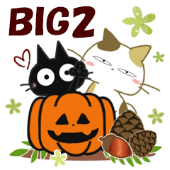 黒ねこ&みけさんのBIGなお便り2