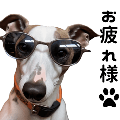 ウィペットの可愛いスタンプ