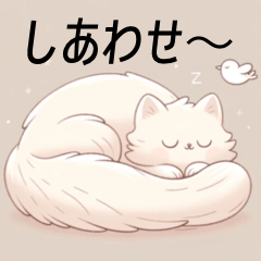 愉快な仲間の猫ちゃんたち