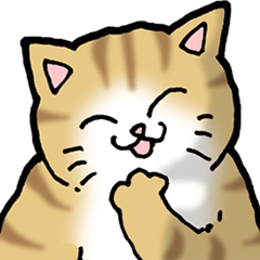 猫大好き！（大）その49　文句の多いエリー