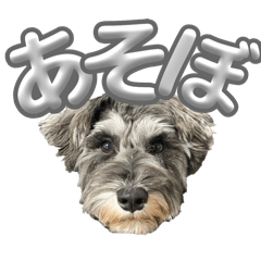 あいるくんとあそぼう