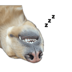 オルトすたんぷ