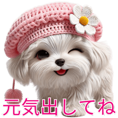 かわいい犬,とてもかわいい子犬1