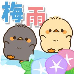 飛び出す♪もっちりヒヨコ兄弟（梅雨）
