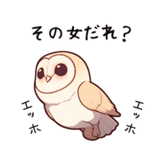 【可愛く嫉妬】メンフクロウの赤ちゃん