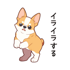 【PMS】コーギー