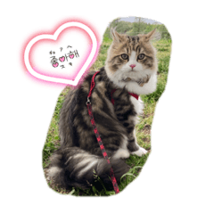 めいななまるラインスタンプ