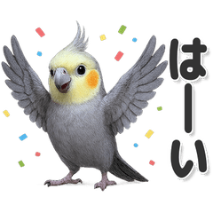 毎日使える！かわいいオカメインコ