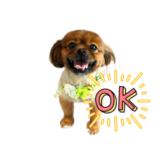 ポメラニアンのふくまるスタンプ1