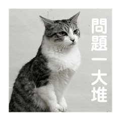 qqyu___20251101153233