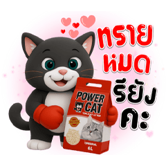 Positive Power Black Cat x KK Powershop.